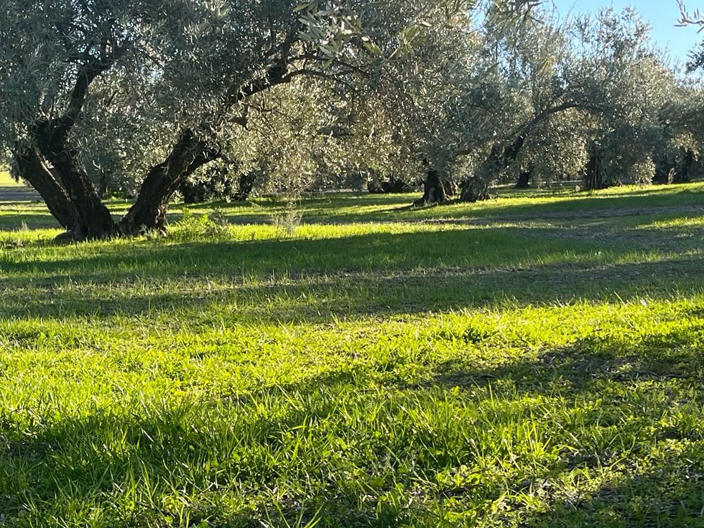 Agricultura Biodinámica