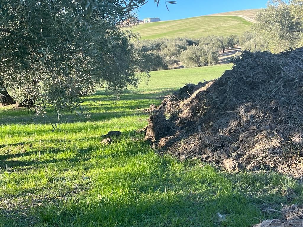 Agricultura Biodinámica