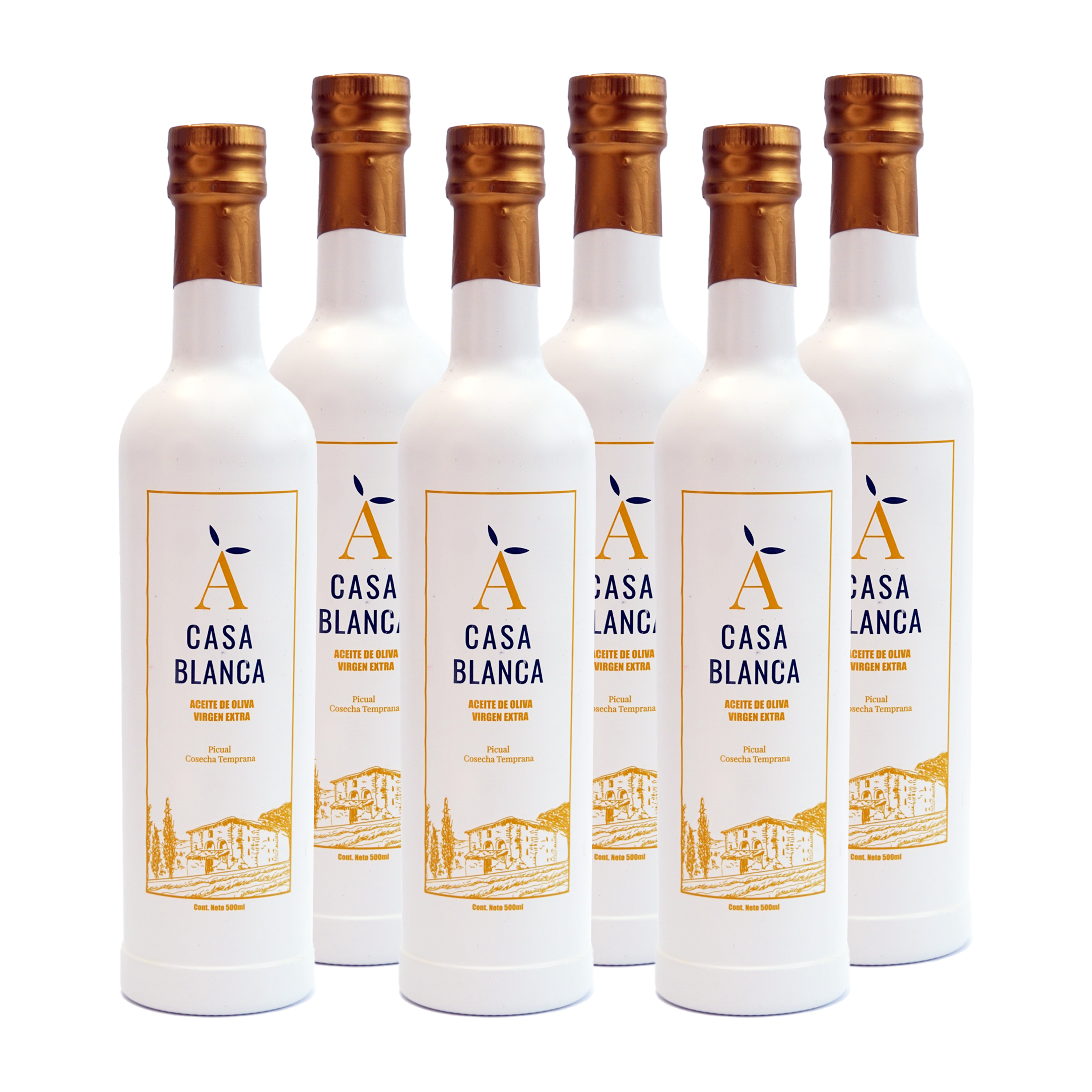 botellas aceites casablanca