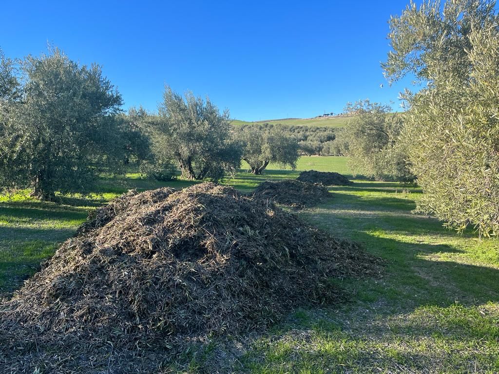 Agricultura Biodinámica