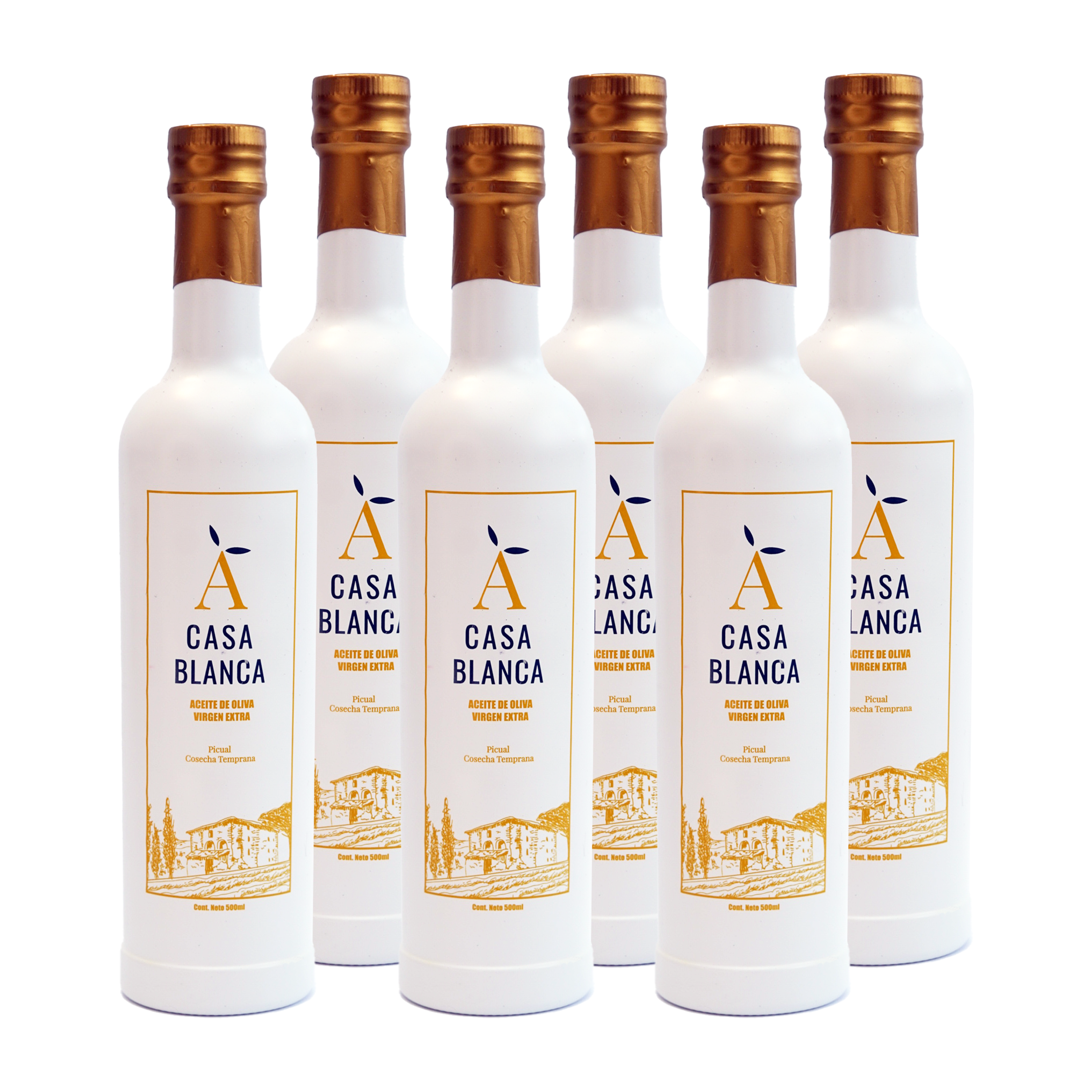 Aceite de Oliva Virgen Extra 2 litros (6 botellas) - CASAT