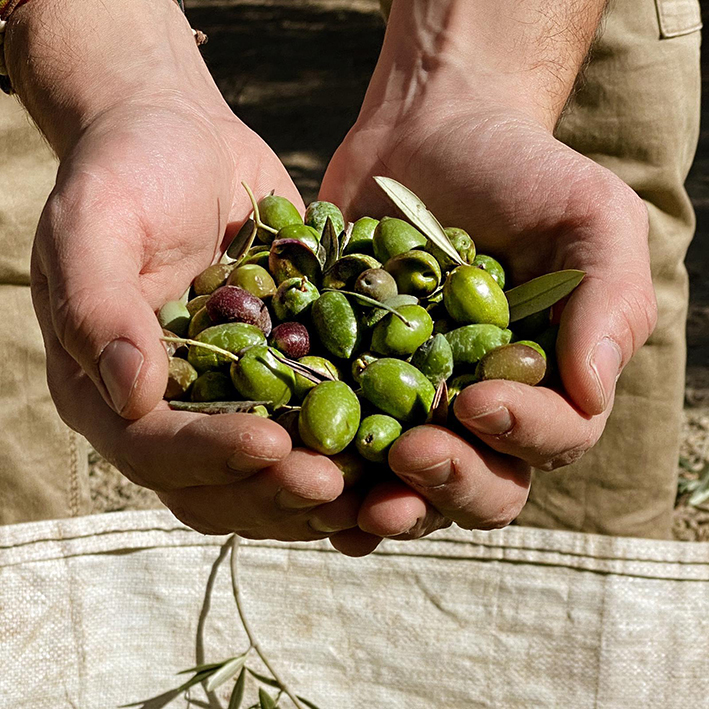 aceites casablanca