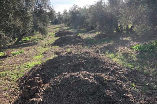 Origen 1 Materia orgánica aportada como abono