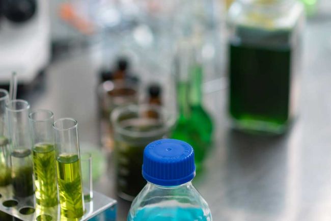 Origen 2 Analisis de aceite casablanca - AOVE